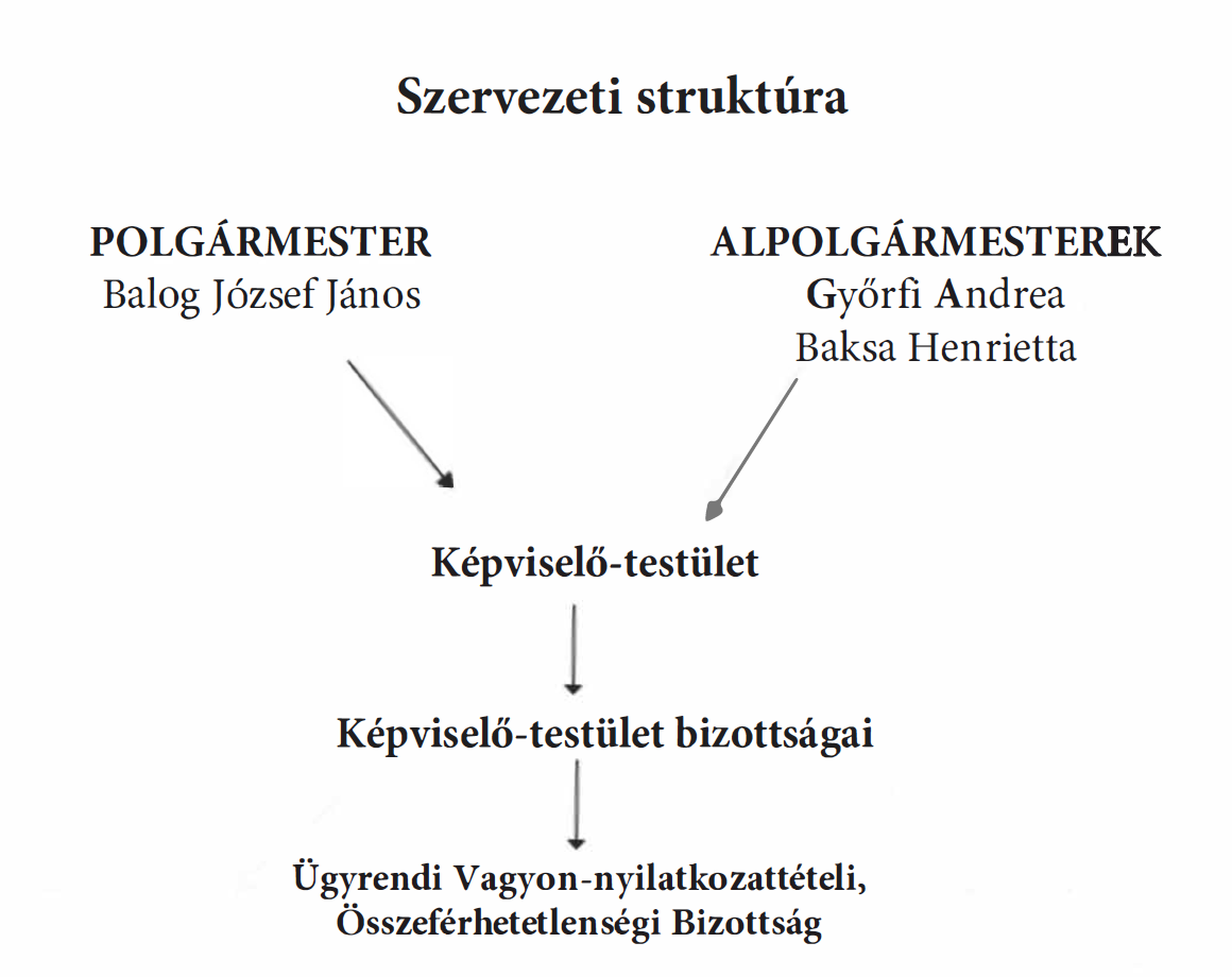 szervezeti struktura